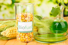 Splott biofuel availability